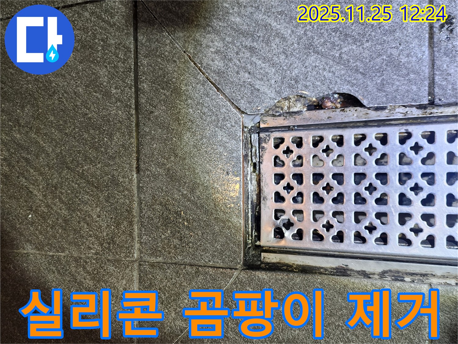 배수구 주변 실리콘 곰팡이 제거 - 쾌적한 욕실