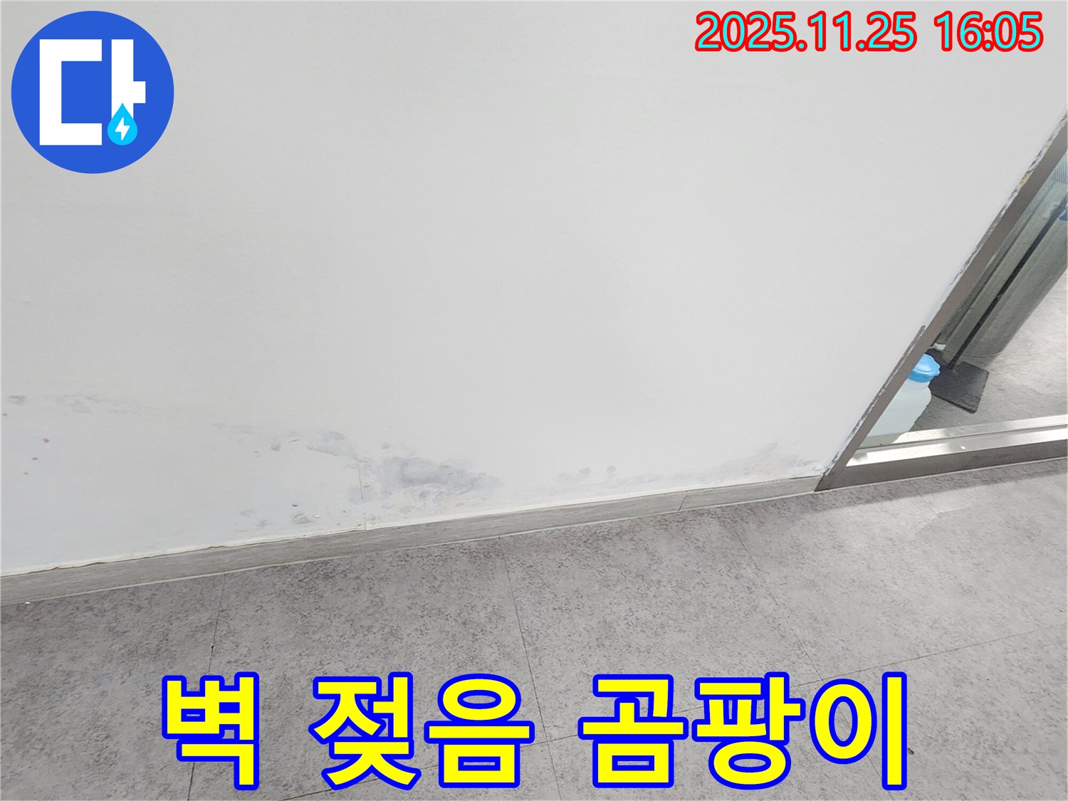 경기도 포천시 신북면 만세교리 - 젖은 벽과 곰팡이 발생 직전, 누수 가능성 진단