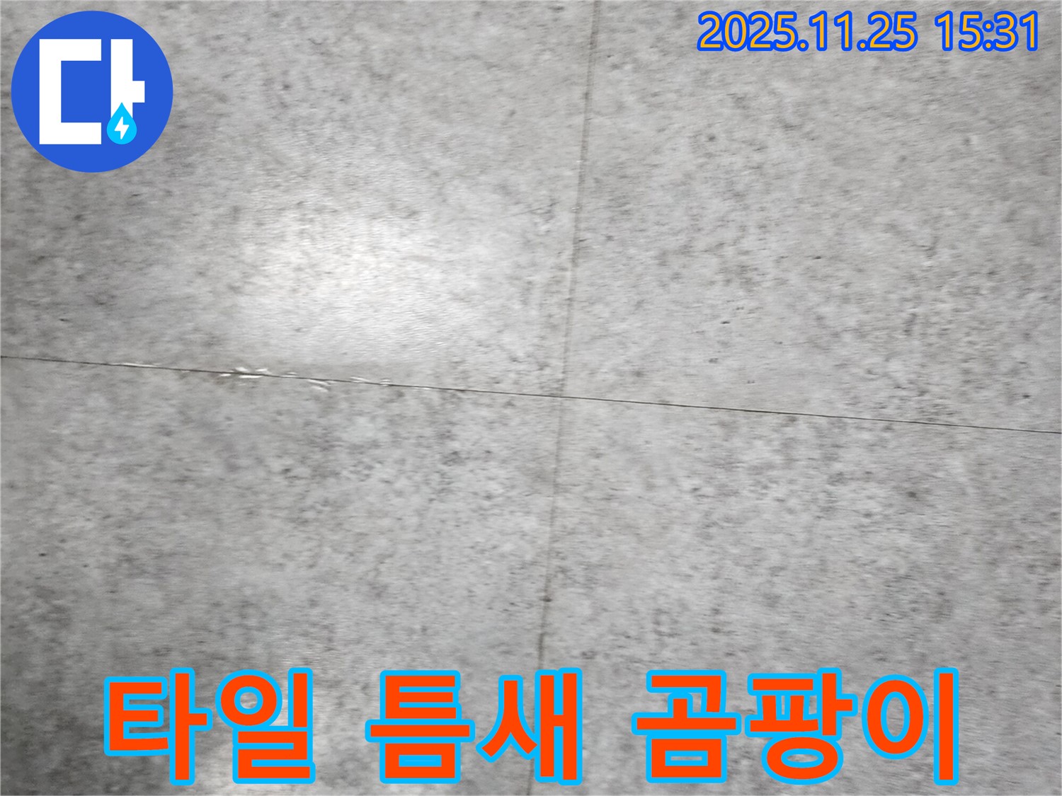 타일 틈새의 곰팡이 - 습한 환경과 누수로 인해 발생할 수 있습니다.