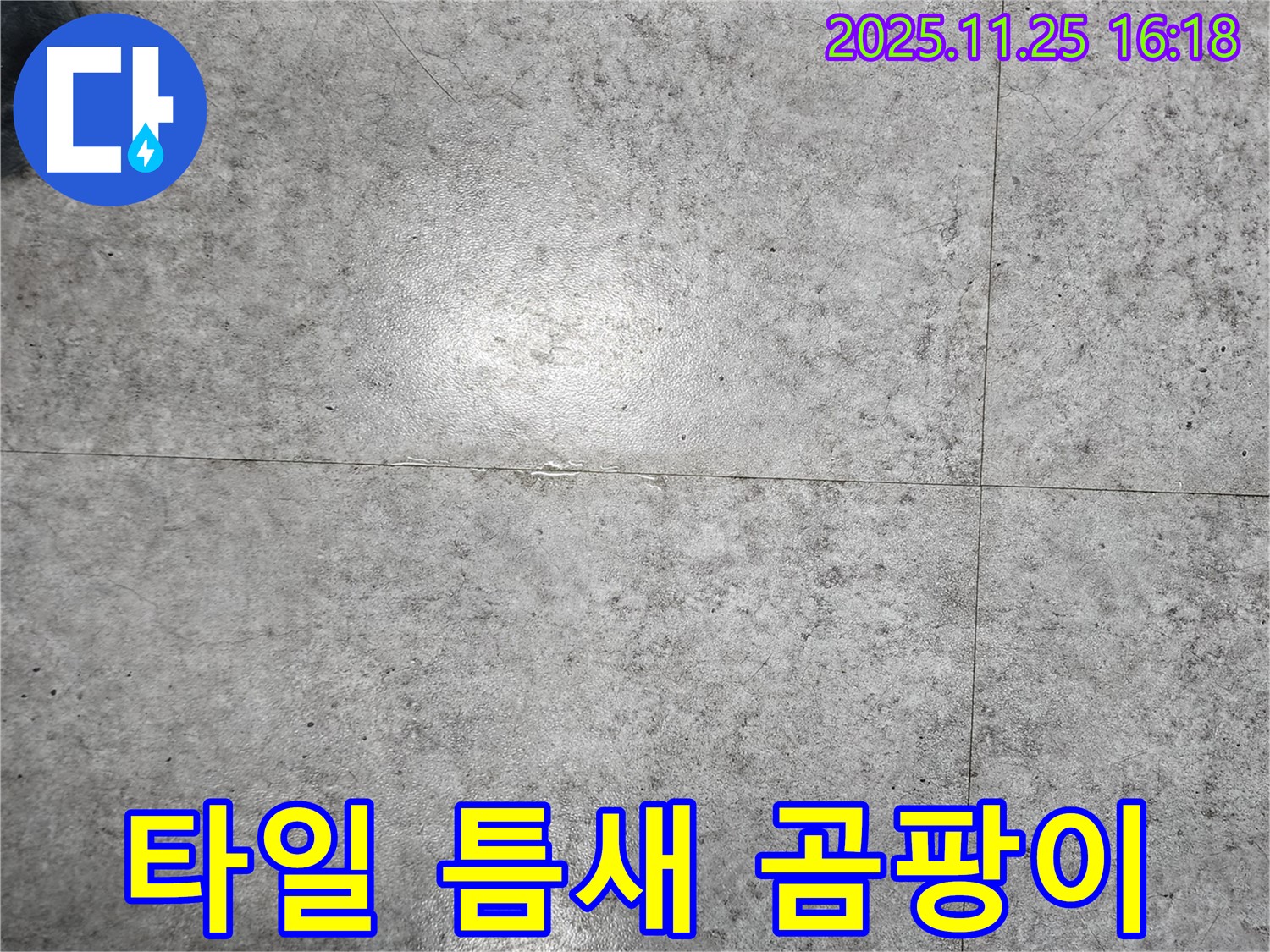 포천시 신북면 만세교리에서 타일 틈새에 곰팡이가 심하게 핀 모습 - 누수의 원인이 될 수 있습니다.