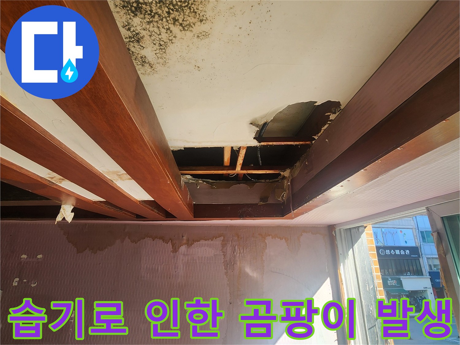 천장과 벽면에 나타난 심각한 습기 및 오염 상태