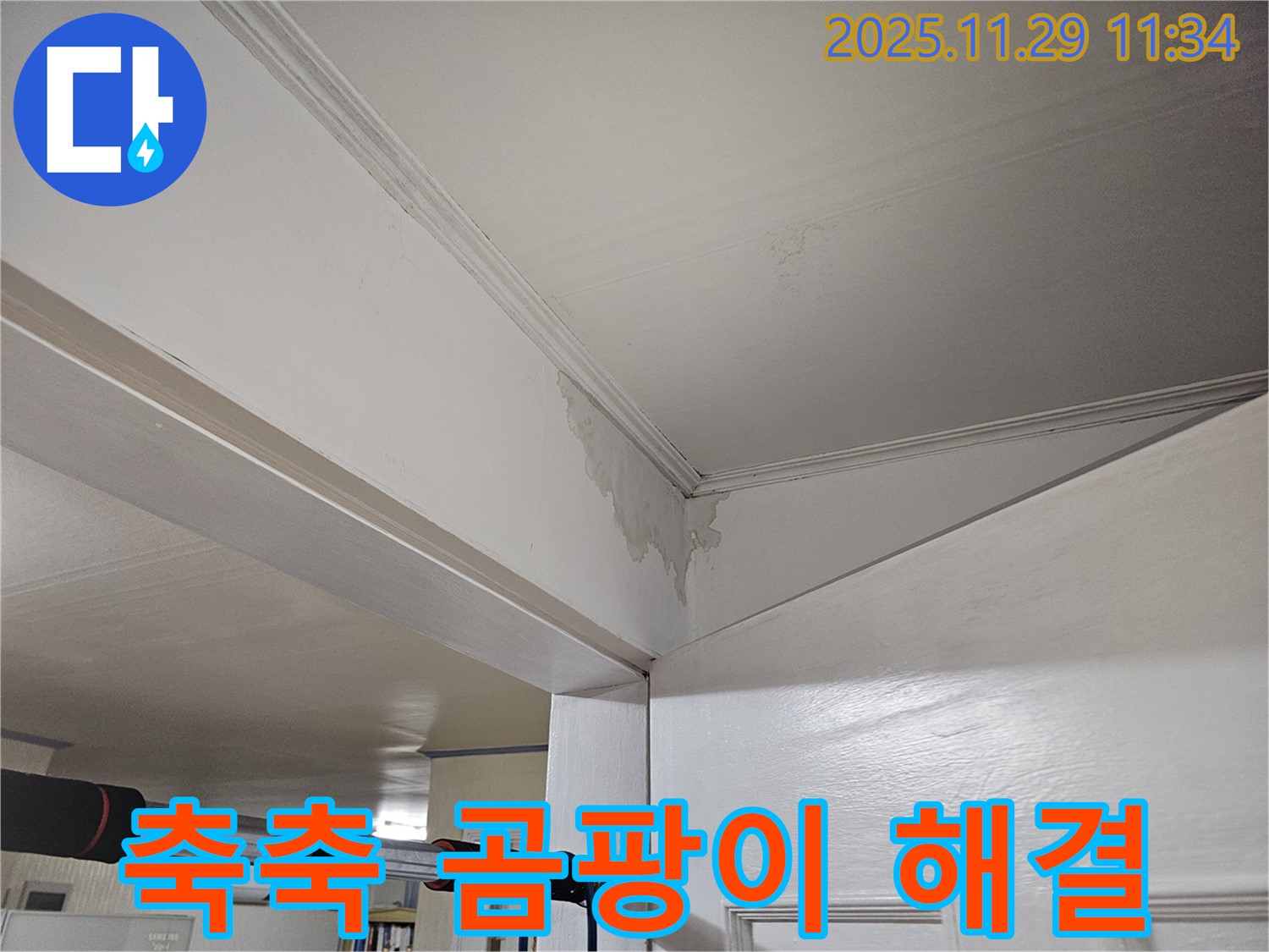 파주 광탄 누수 - 천장 축축, 곰팡이 번식 직전! 긴급 해결로 쾌적하게!