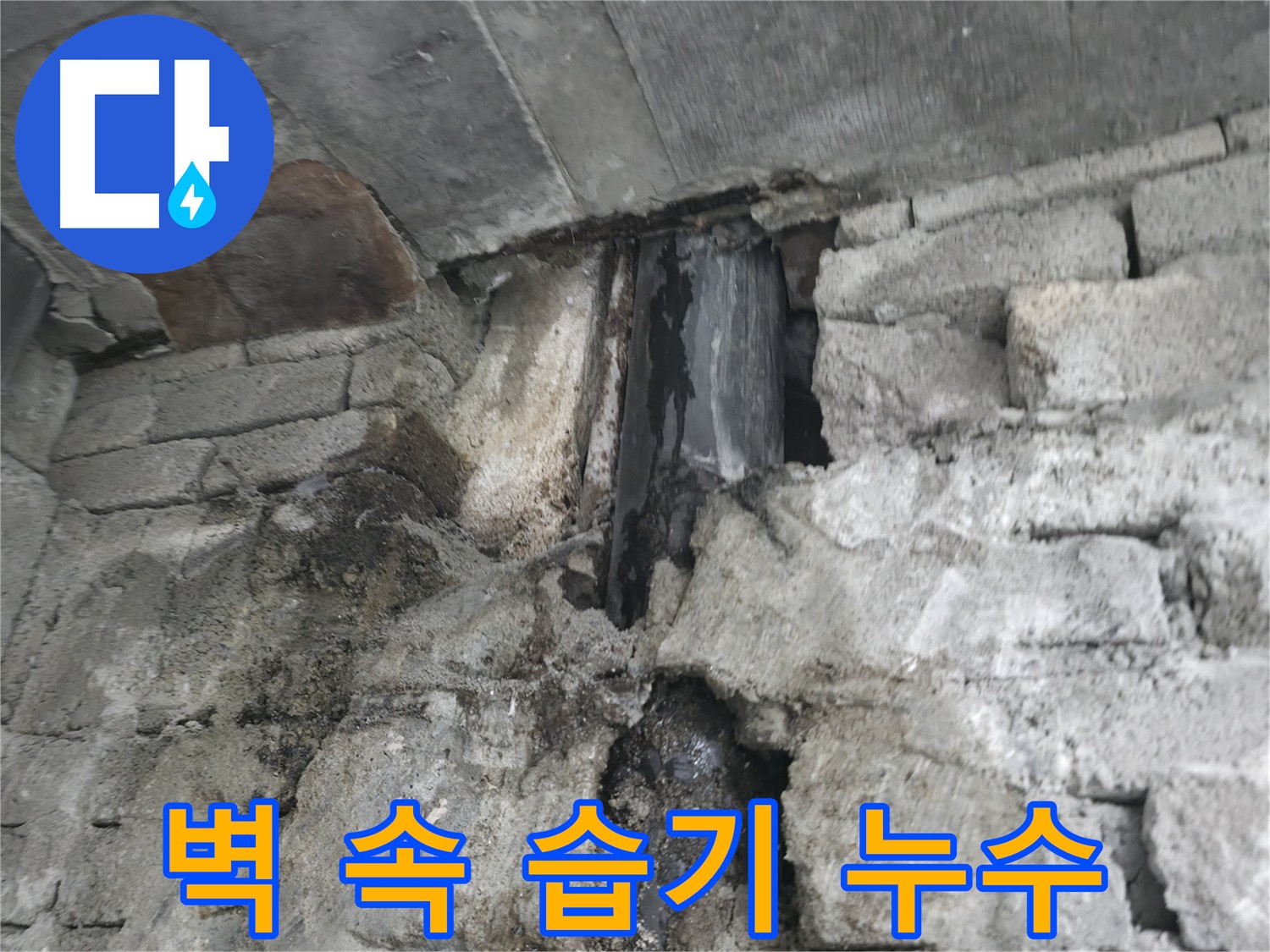 벽 속 습기로 인한 누수 - 습기로 인해 벽이 젖어 있고, 곰팡이가 발생했습니다 - 쾌적한 환경을 위해 습기 제거가 시급합니다.