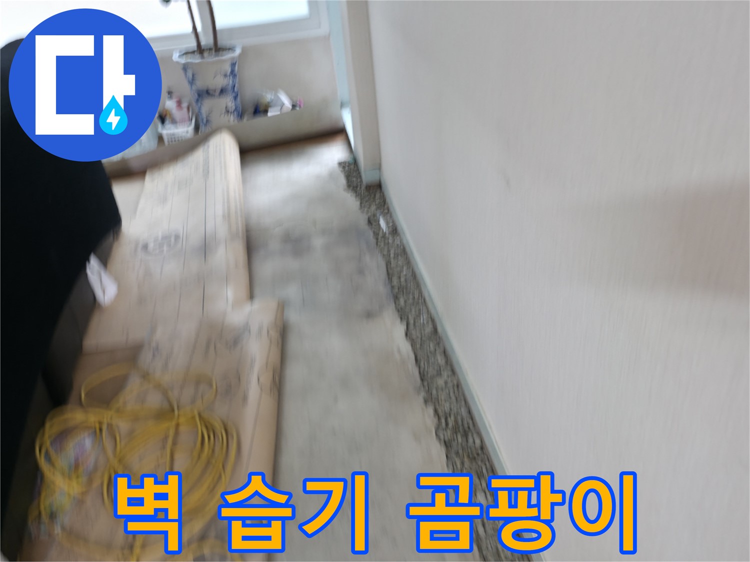 서초2동에서 누수 재발 방지를 위한 꼼꼼한 시공을 약속드립니다 - 안심하고 맡겨주세요!
