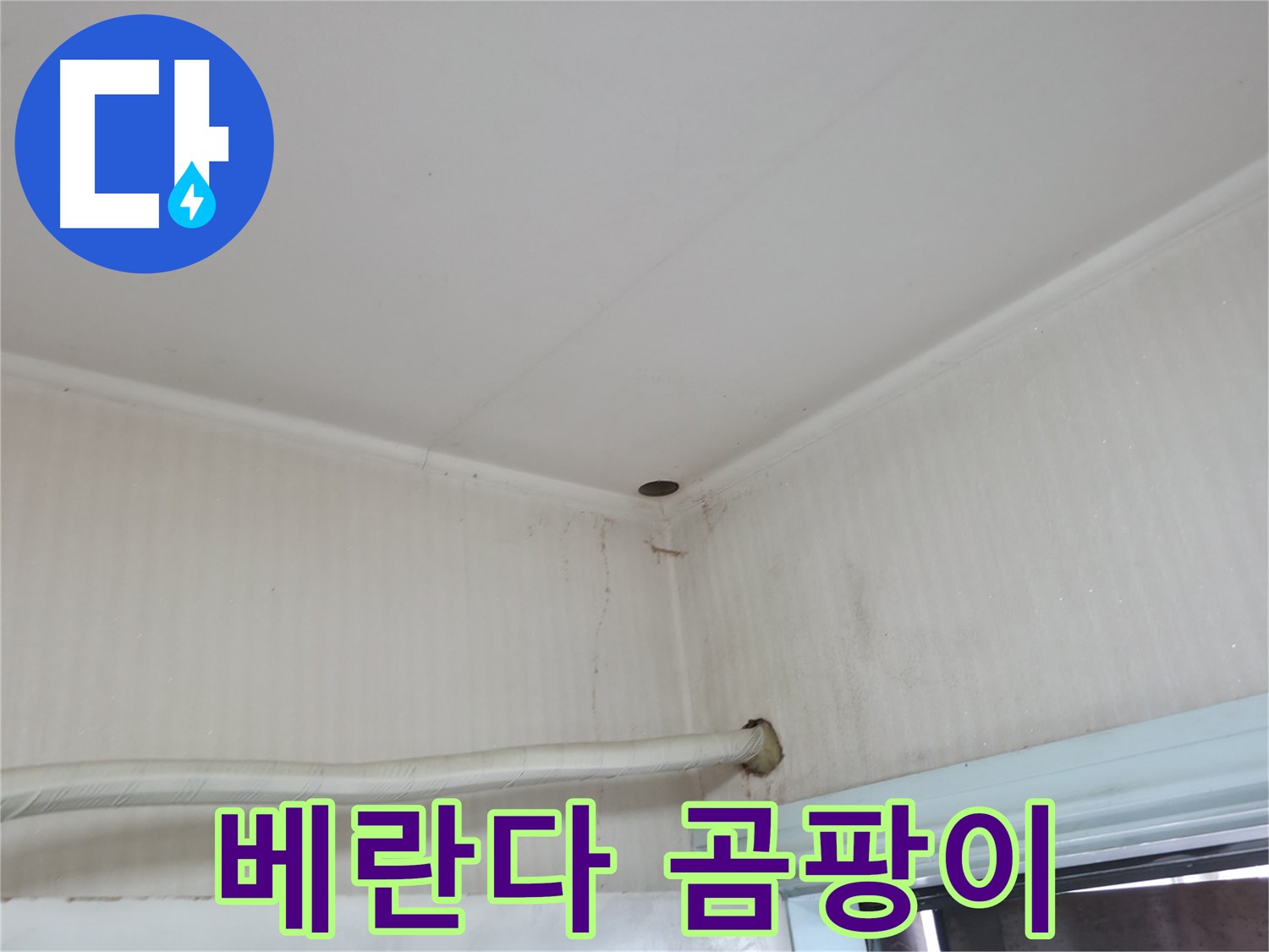 서초구 서초동 누수 - 벽에 핀 곰팡이는 건강을 위협하는 누수의 신호일 수 있습니다.