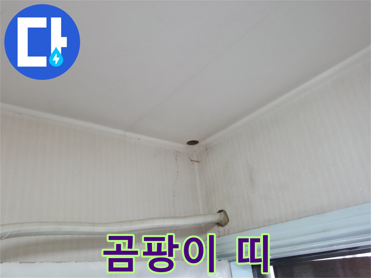 서초구 서초4동 누수 - 베란다 천장에서 물이 뚝뚝 떨어진다면 - 윗집 누수를 의심해 보세요!