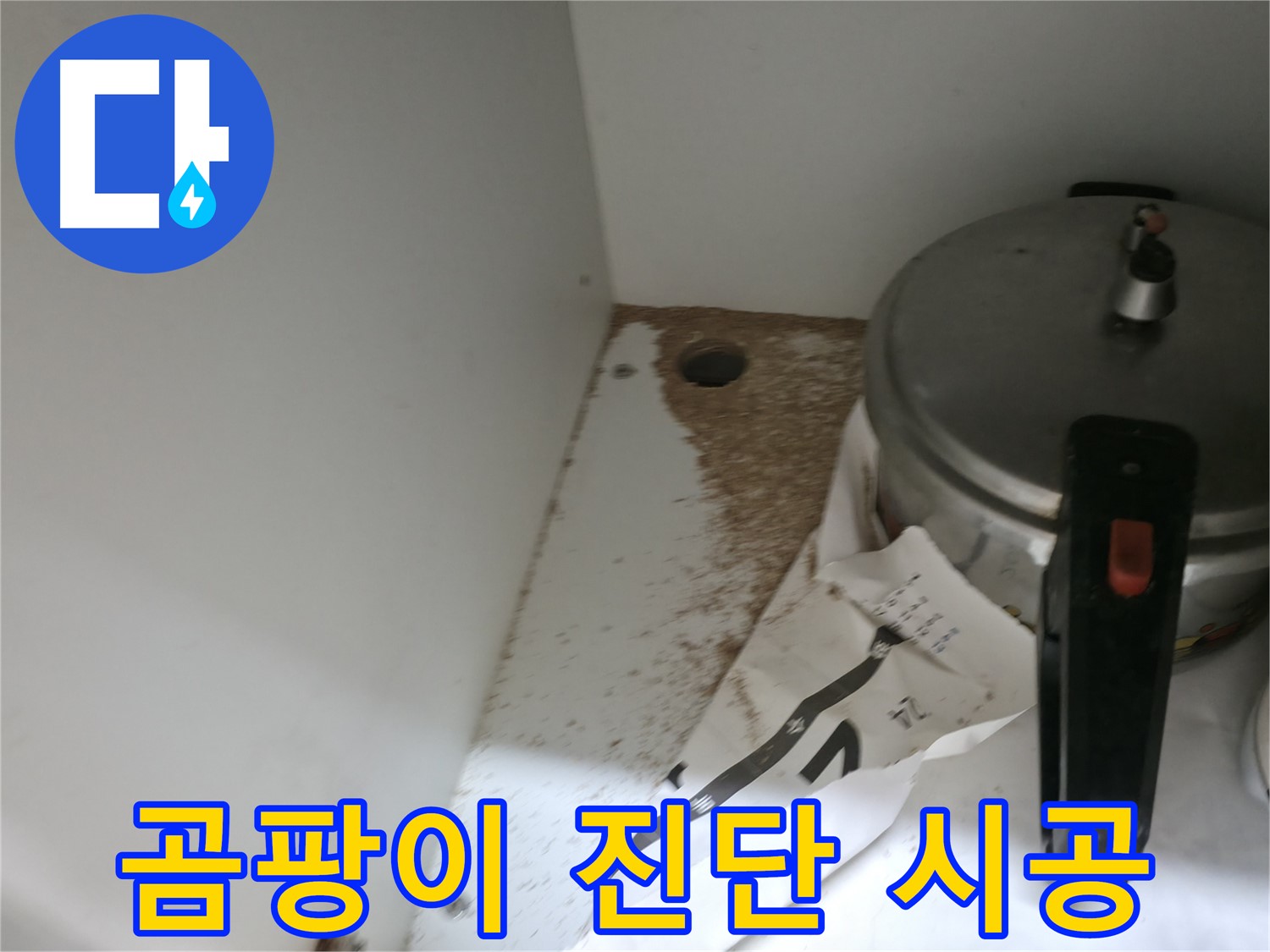 서초2동 싱크대 누수 - 곰팡이 발생 원인 진단부터 완벽 시공까지