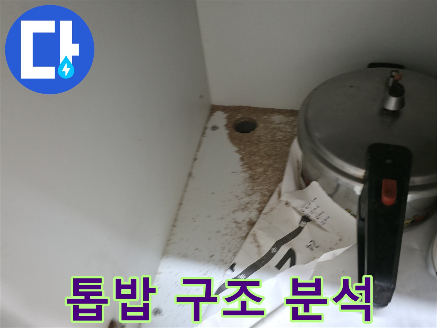 싱크대 밑 - 톱밥 - 재산 가치 하락 - 서둘러 해결하세요