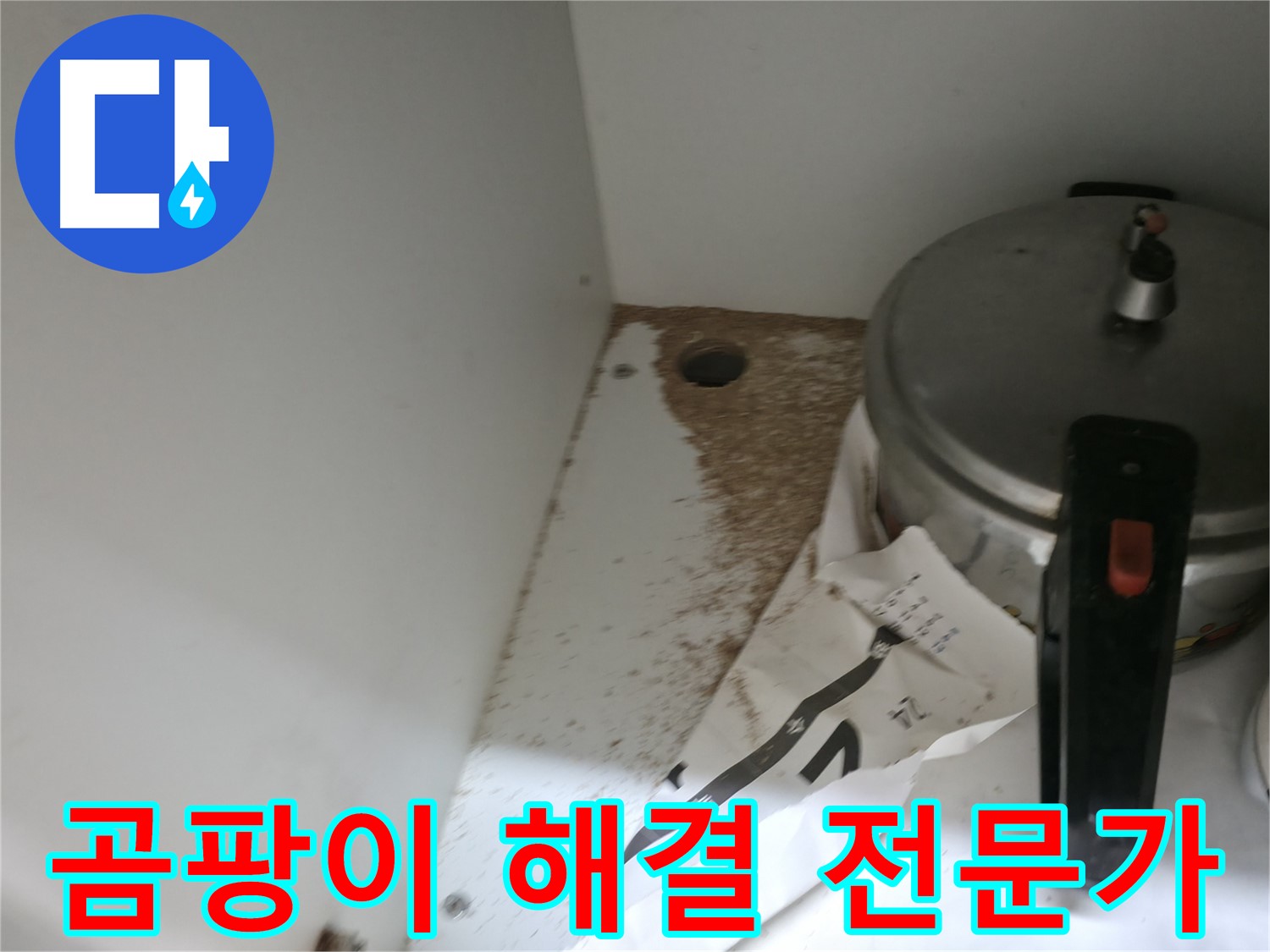 서초구 명달로4길 싱크대 누수 - 곰팡이 문제 해결 전문가 방문