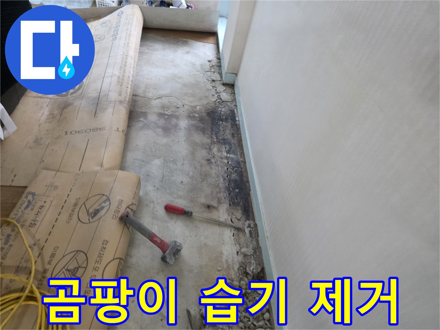 서초구 서초2동 누수 - 380901 주변 장판 밑 곰팡이, 습기 제거 작업 진행