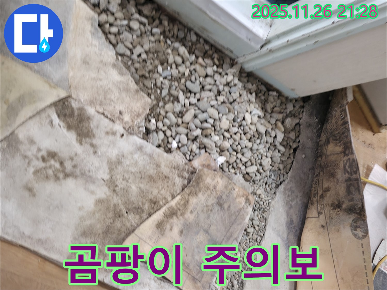 서초구 서초2동 누수 - 곰팡이 주의보 - 습한 환경은 곰팡이 번식의 최적 조건입니다 - 건강을 위협