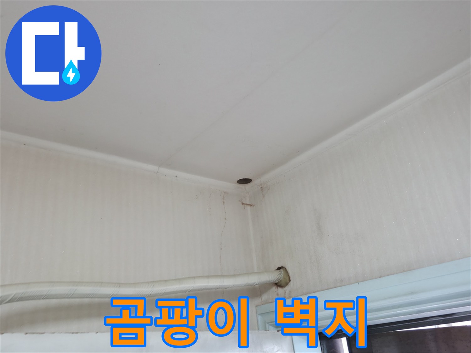 서초구 서초2동 누수 - 곰팡이 핀 벽지를 뜯어보니 누수가 더 심각한 상태입니다.