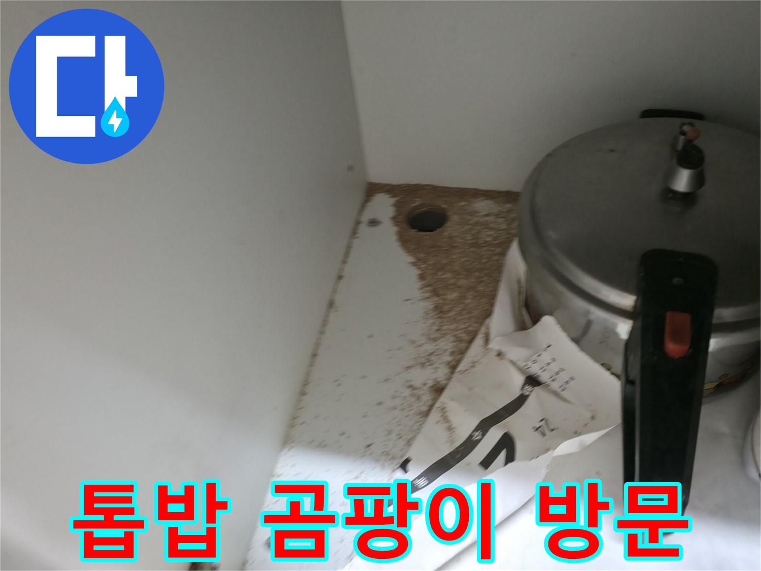 싱크대 누수 - 톱밥 발생 - 합리적인 가격 - 부담 없이