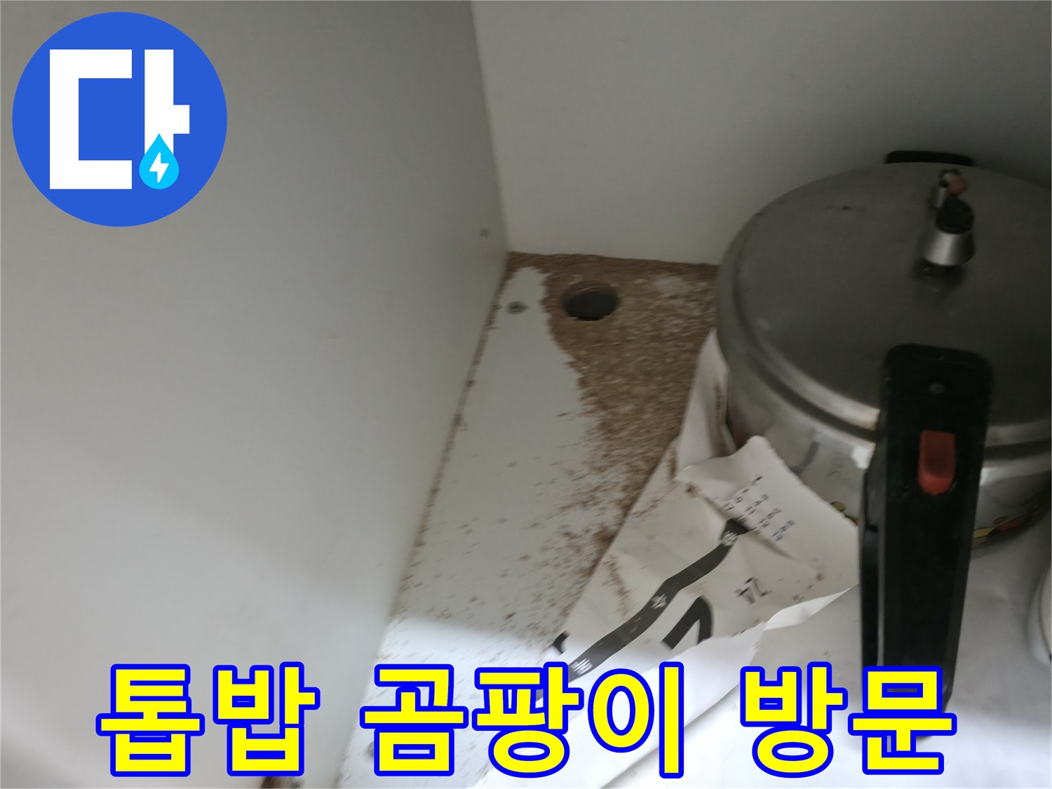 서초구 서초2동 싱크대 누수 - 톱밥 곰팡이 냄새 문제 24시간 긴급 방문