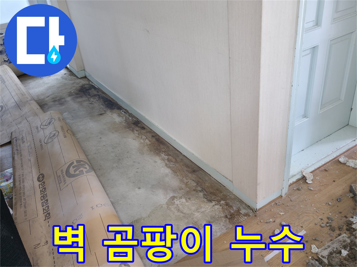 서초구 서초동 누수 현장 - 벽 곰팡이는 누수의 결과입니다 - 서초동 누수 전문가가 완벽하게 해결해 드립니다.