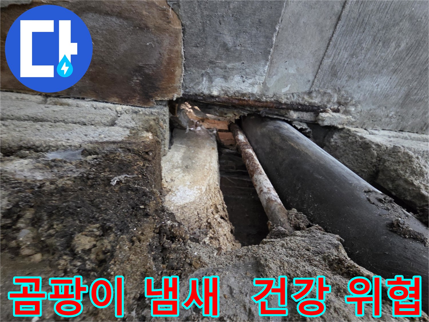 서초구 서초동 명달로4길 누수 - 건물 누수, 곰팡이 냄새는 건강을 위협합니다 - 건강한 삶을 위해 누수를 해결하세요.