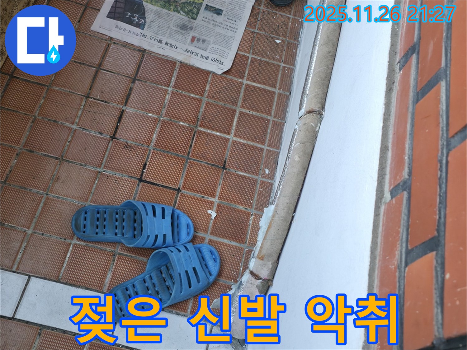 서초구 서초동 현관 누수 현장 - 신발 젖은 채 방치로 인한 악취 및 곰팡이