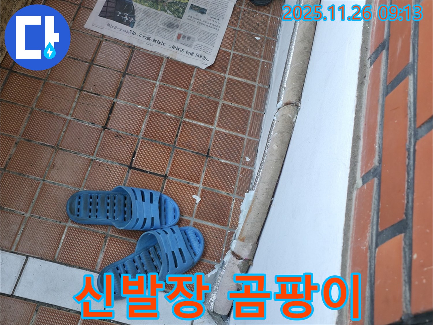 서초구 서초동 현관 누수 현장 - 신발장 내부 습기로 인한 곰팡이 및 악취 발생
