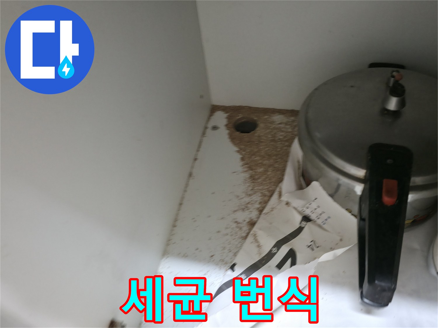 싱크대 밑 - 톱밥 - 세균 번식 - 위생 문제 심각