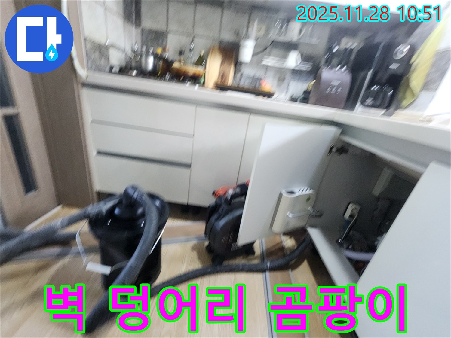 경기도 포천시 신북면 금동리 - 싱크대 하부장 안쪽 벽면에 곰팡이 덩어리처럼 붙어 있는 상태 확인