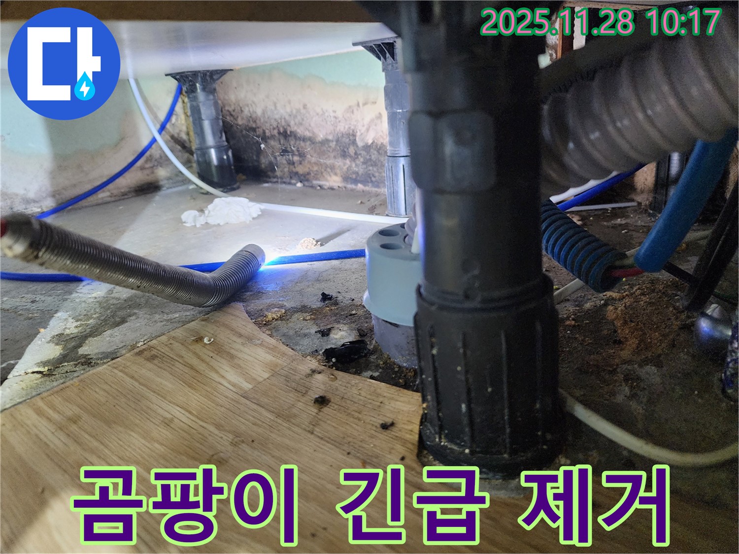 경기도 포천시 신북면 금동리 - 욕조 하부 곰팡이가 심각하여 긴급 점검 및 완벽한 곰팡이 제거를 약속드립니다.