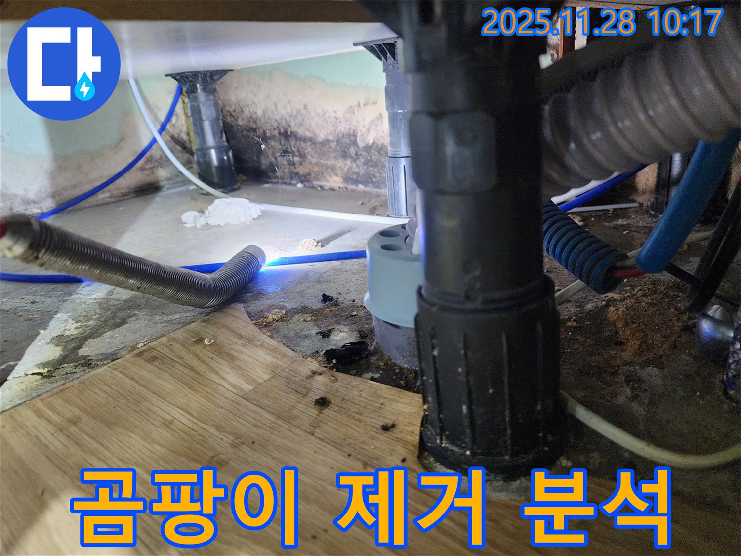 금동리 - 욕조 하부 곰팡이를 제거하고 누수 원인을 분석하여 재발 방지 대책을 세우고 있습니다.