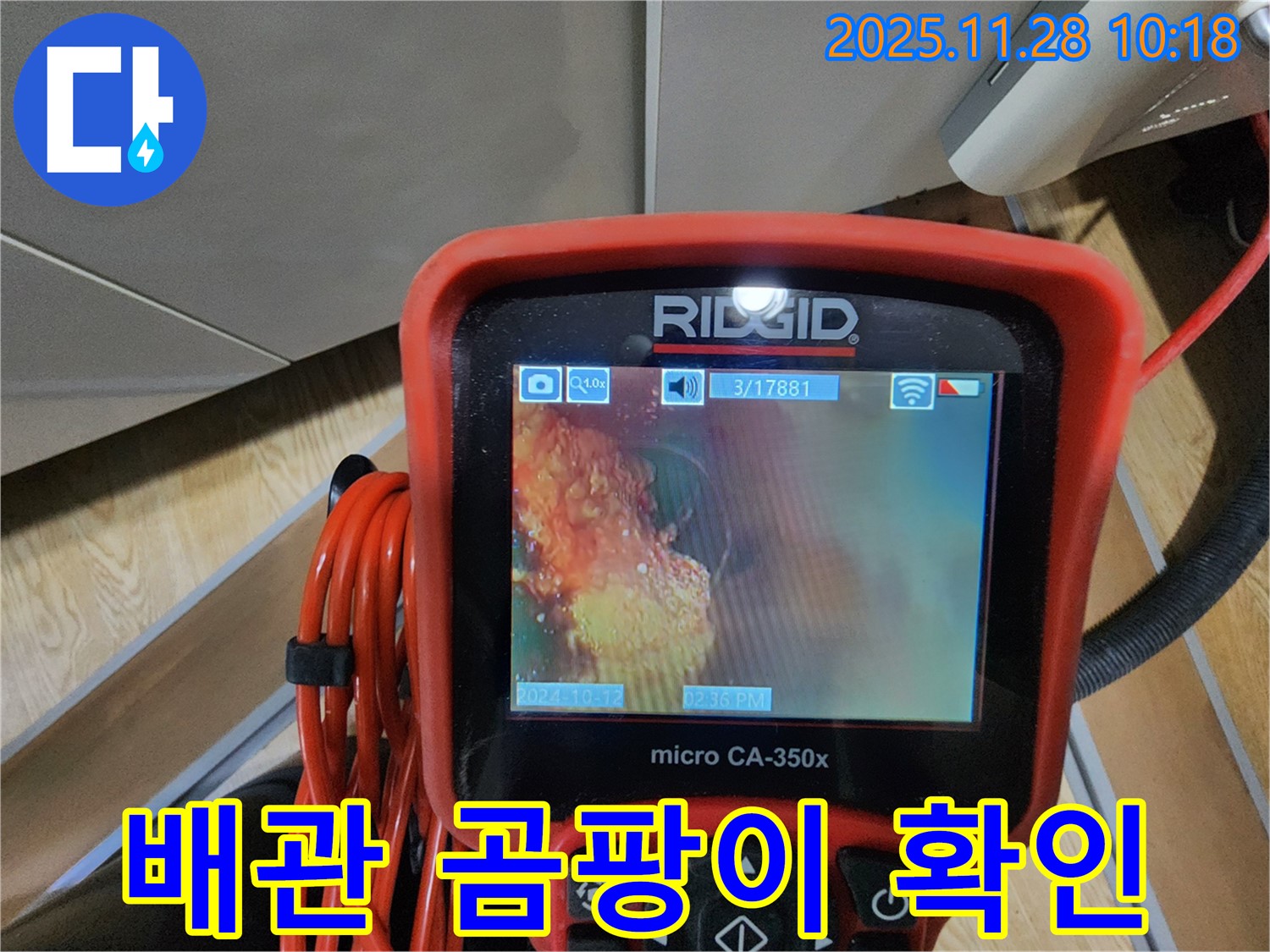 배관 내시경으로 곰팡이 확인 - 곰팡이까지 싹!