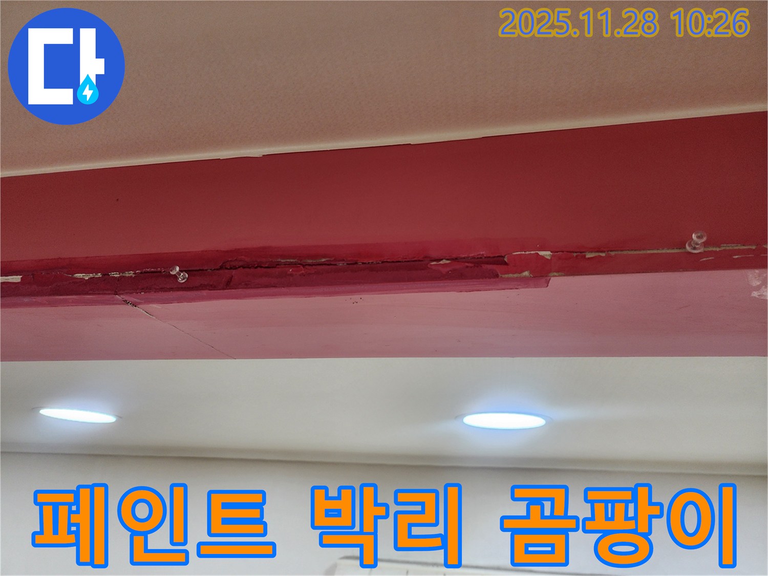 붉은색 천장 페인트 박리 곰팡이 - 누수로 인해 페인트가 완전히 떨어져 나가고, 콘크리트 위에 곰팡이가 흉측하게 피어있는 모습입니다.