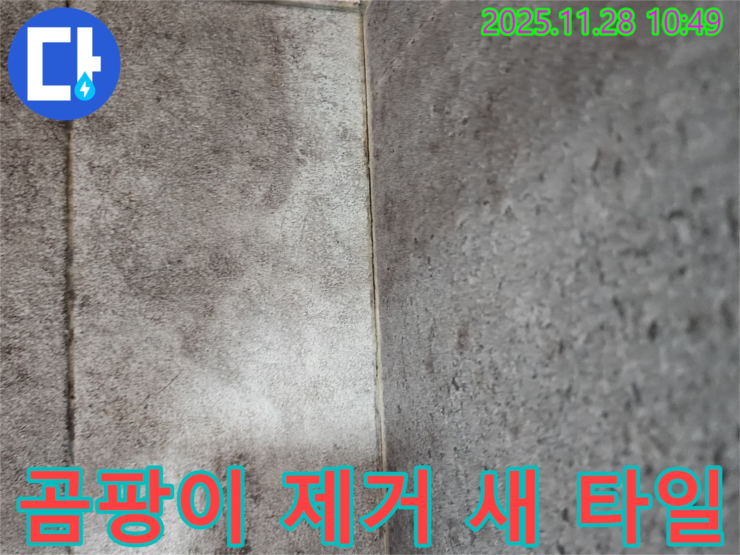 신북면 욕실 곰팡이 누수 - 곰팡이 제거 전문가의 완벽한 손길로 새 타일처럼!