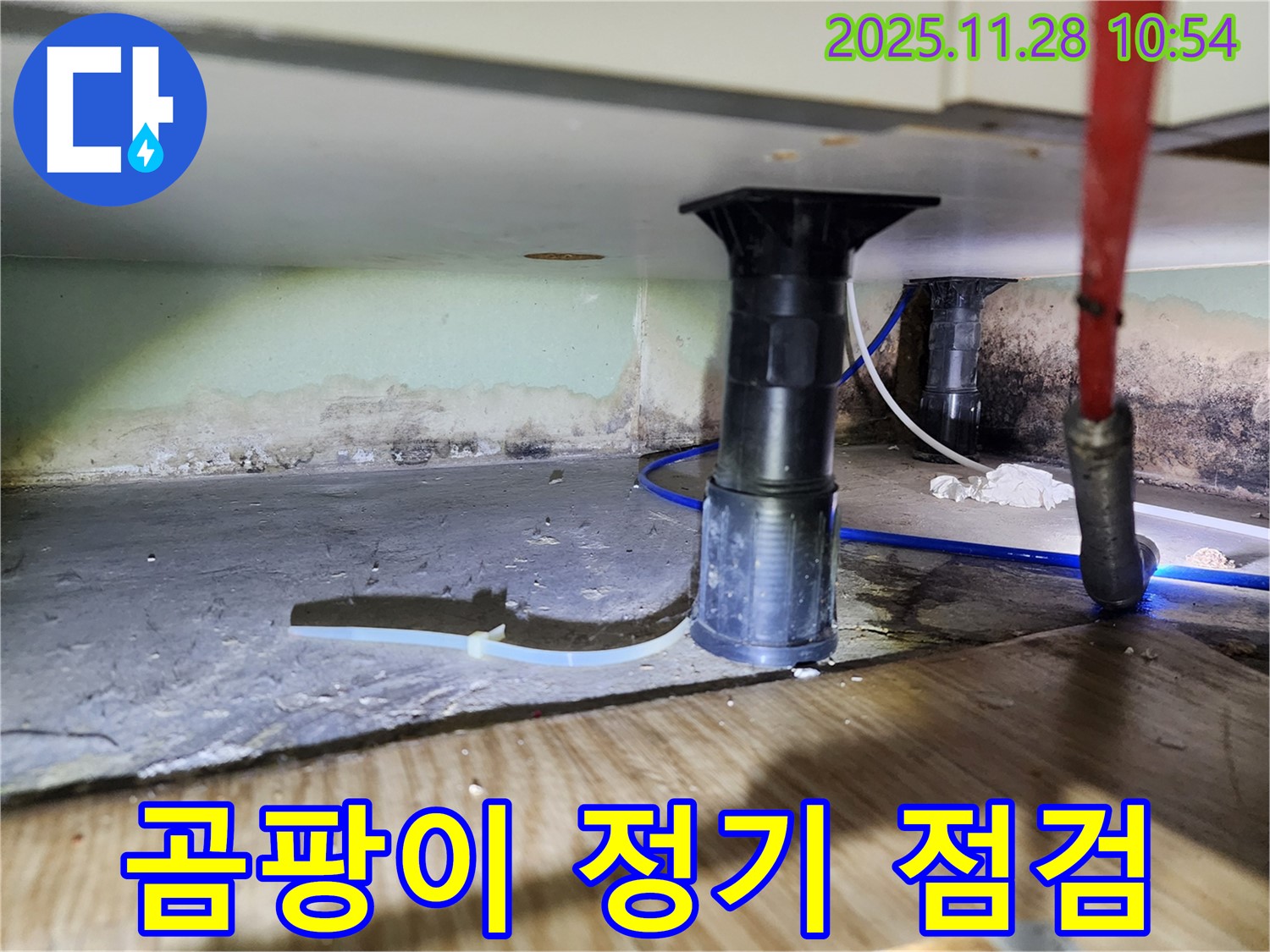 싱크대 누수 - 곰팡이, 습기, 악취 정기 점검 습관