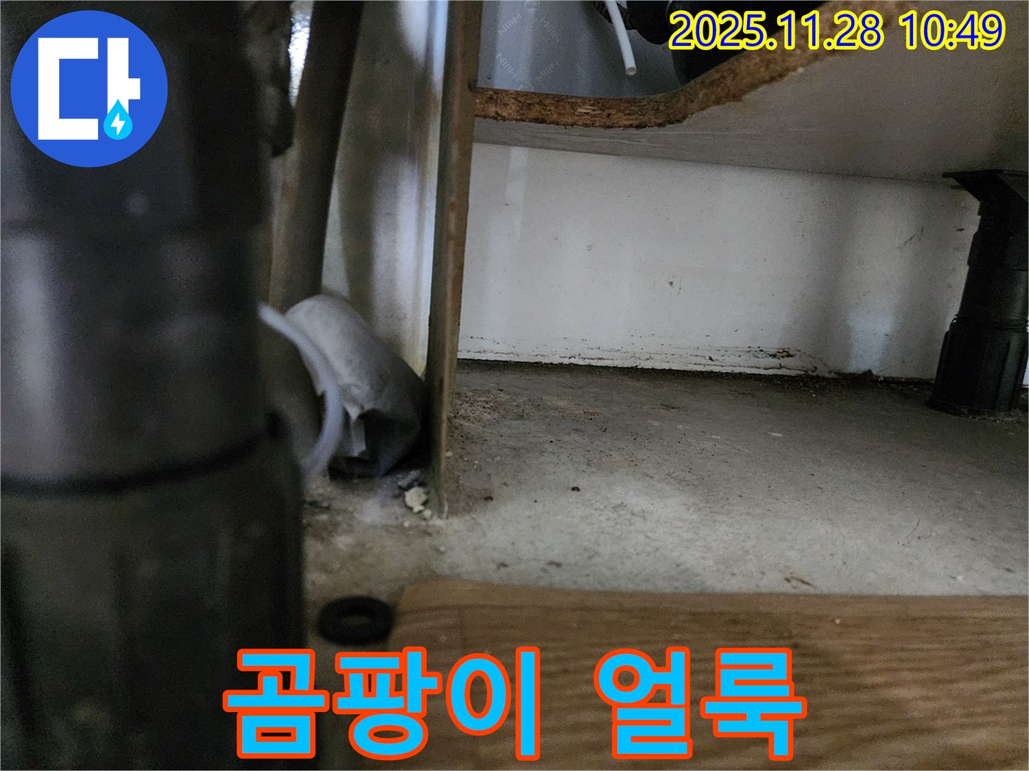 싱크대 하부 - 배수관 곰팡이 얼룩, 습기 - 누수 의심