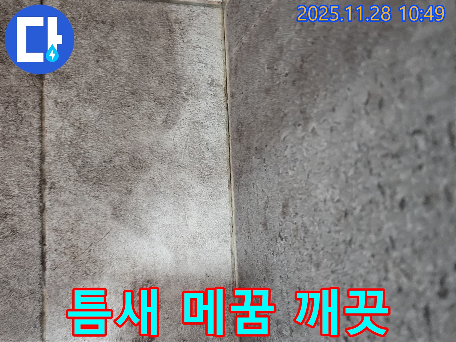포천 금동리 욕실 타일 틈새 곰팡이 누수 - 틈새 메꿈과 곰팡이 방지 코팅으로 곰팡이 걱정 없이 깨끗하게!