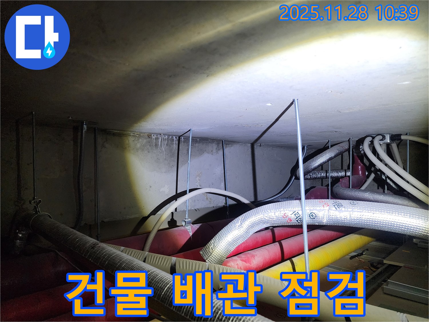 포천 신북면 금동리 누수 현장 - 낡은 건물 배관 점검으로 누수 위험을 사전에 진단합니다.