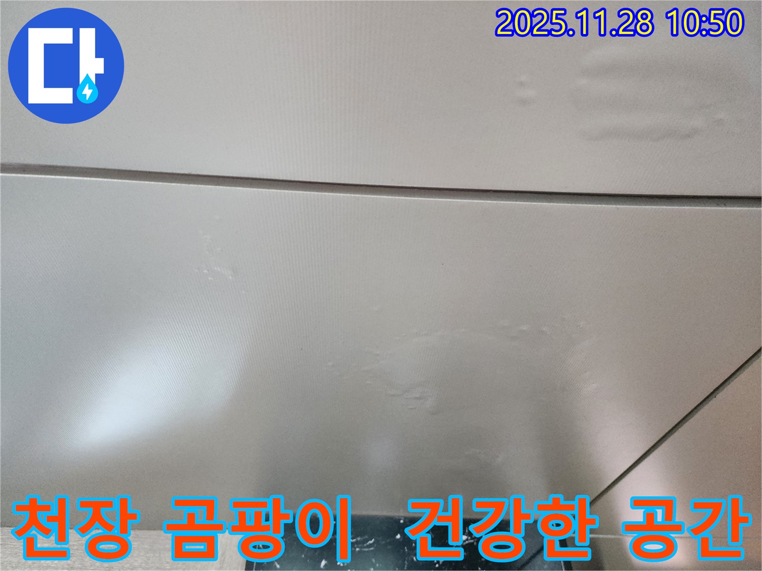 포천 신북면 금동리 - 천장 곰팡이, 완벽 제거와 누수 해결로 건강하고 쾌적한 공간을 만들어 드립니다.