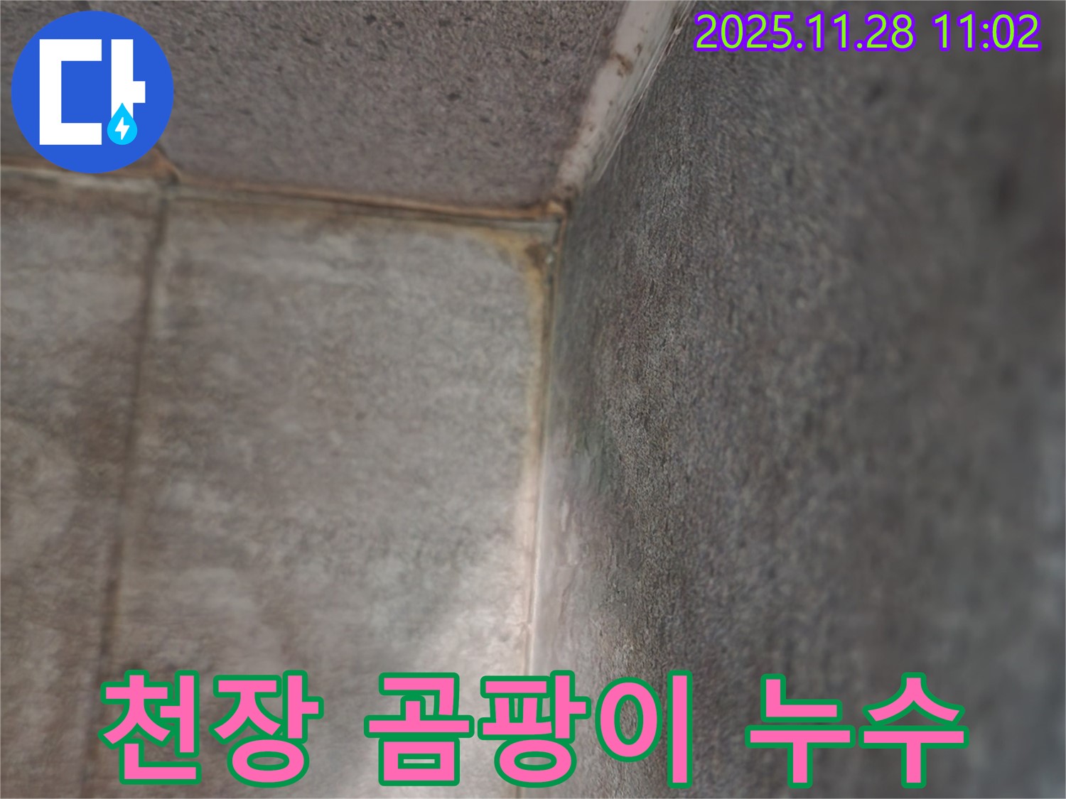 포천시 신북면 금동리 누수 현장 - 천장 곰팡이 발생 원인 진단 및 누수 탐지 과정