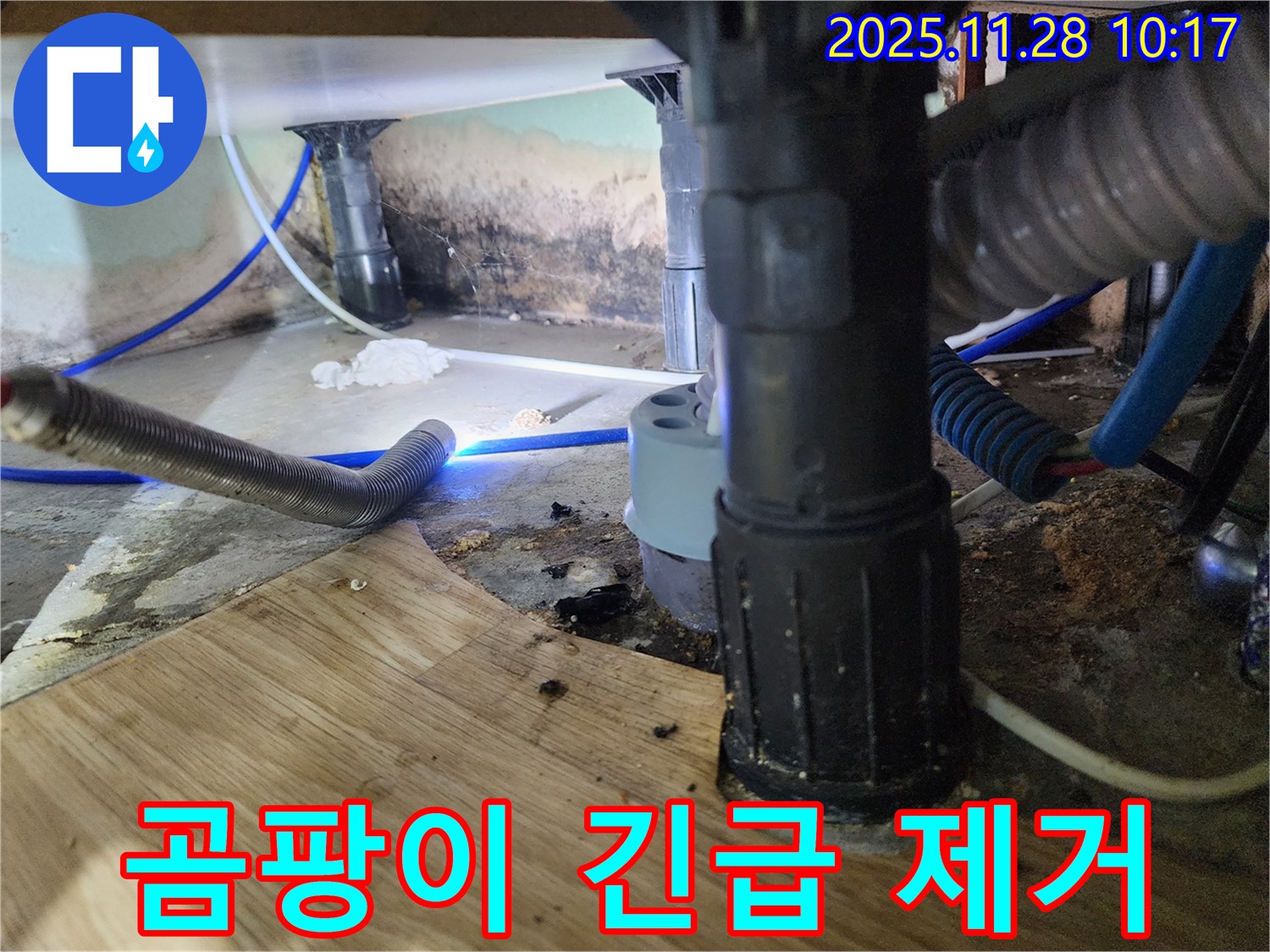 포천시 신북면 금동리 - 욕조 하부 곰팡이가 심각하여 긴급 점검 및 곰팡이 제거를 진행하고 있습니다.