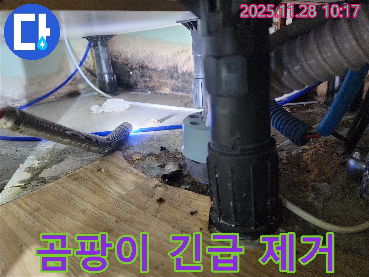 포천시 신북면 금동리 - 욕조 하부 곰팡이가 심각하여 긴급 점검 및 곰팡이 제거를 진행하고 있습니다.