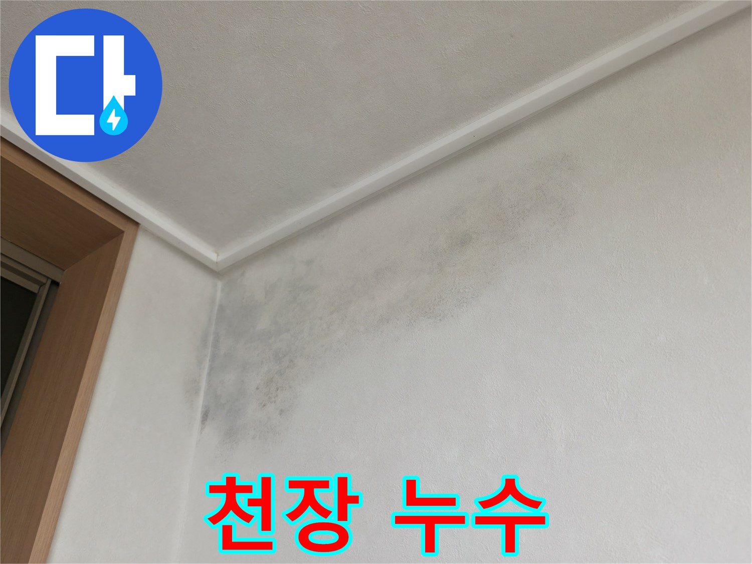 기흥역 더퍼스트푸르지오 아파트 천장 누수 - 천장에 생긴 누수 자국