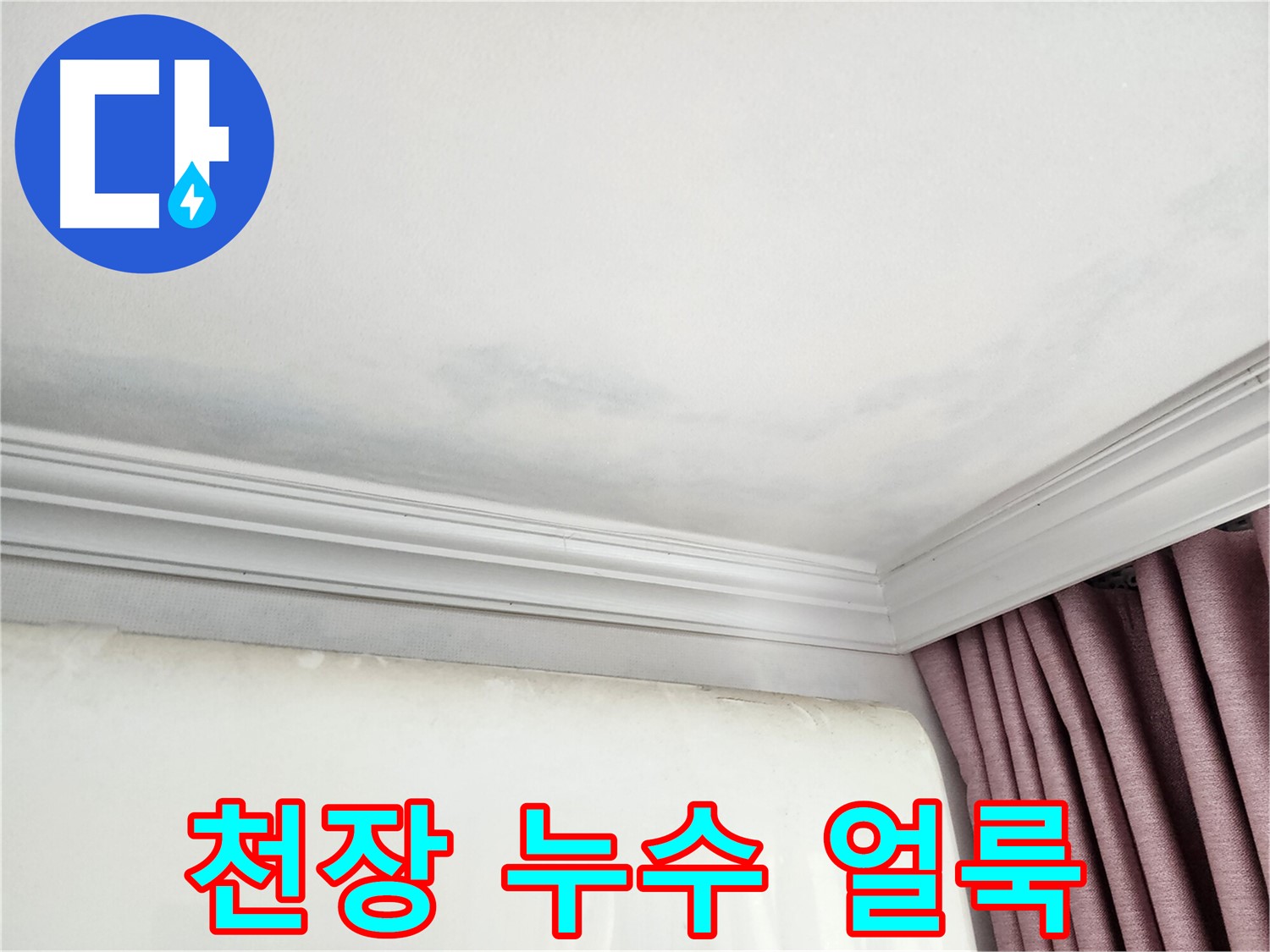 성남 중원구 아파트 천장 누수 의심 얼룩 - 정확한 누수 점검
