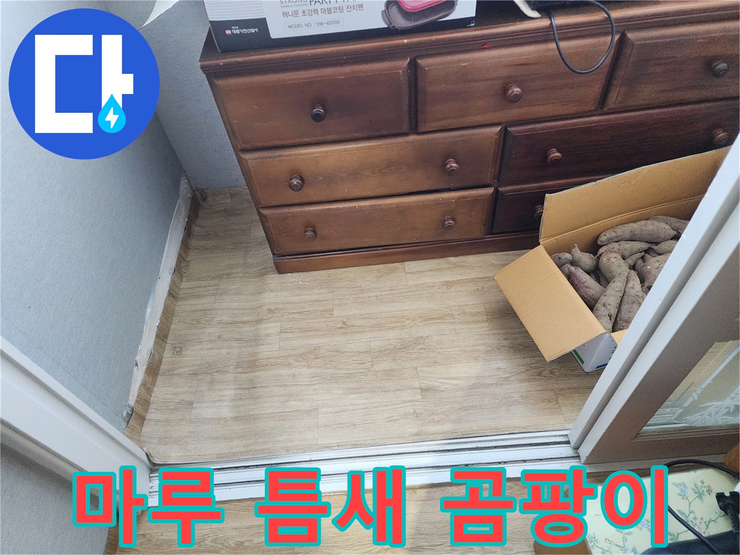 수원 율전동 누수 - 마루 틈새 검은 곰팡이를 발견하고 건강 위협 가능성을 경고합니다.