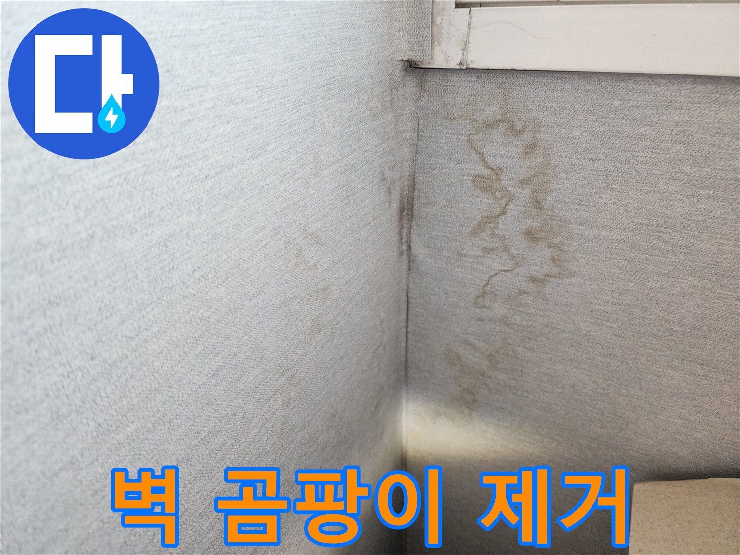 장안구 누수 해결, 천천동 삼성아파트 벽면 곰팡이 제거 - 쾌적한 환경을 되찾아 드립니다.