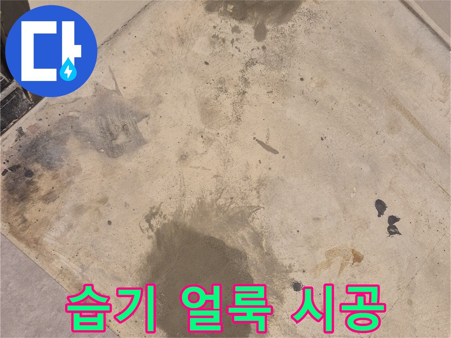 능동 누수 현장 - 습기로 얼룩진 바닥, 누수 해결 전문가의 완벽한 책임 시공
