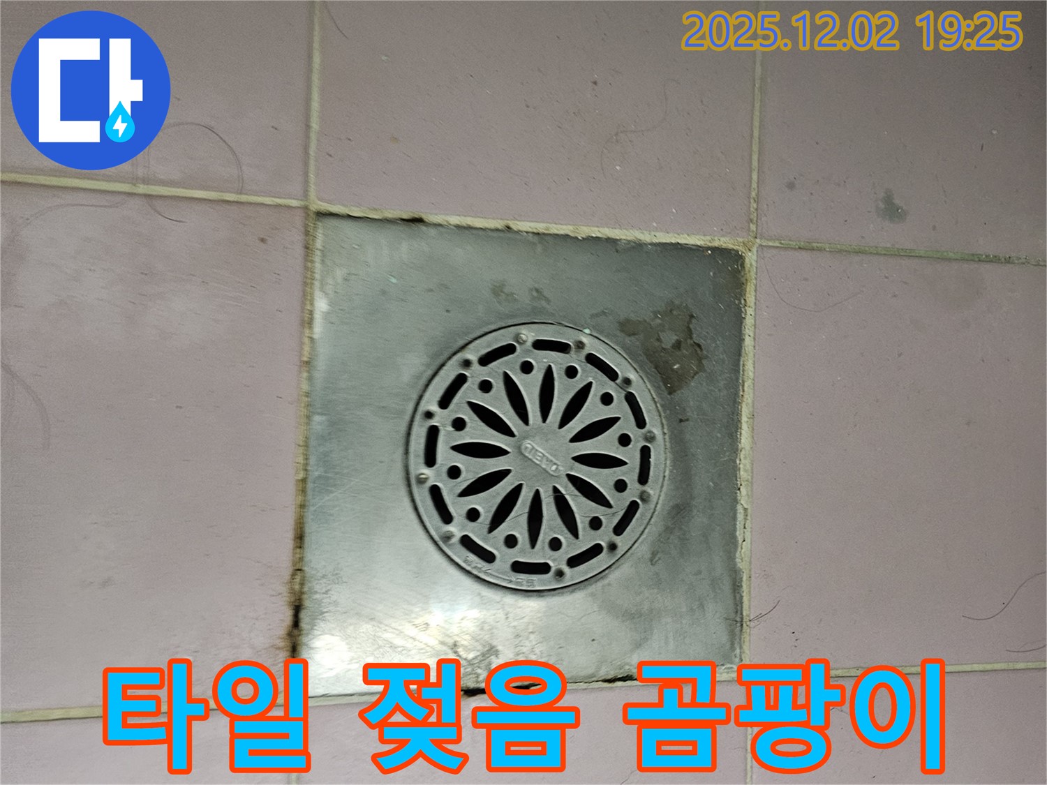 욕실 배수구 주변 타일이 젖어 있고 곰팡이 냄새가 남 - 누수 가능성이 매우 높습니다.