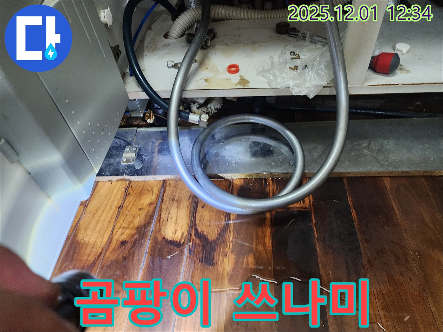 이동면 도평리 누수 - 싱크대 밑 물 흥건, 마루 썩음과 곰팡이 쓰나미 몰려옴