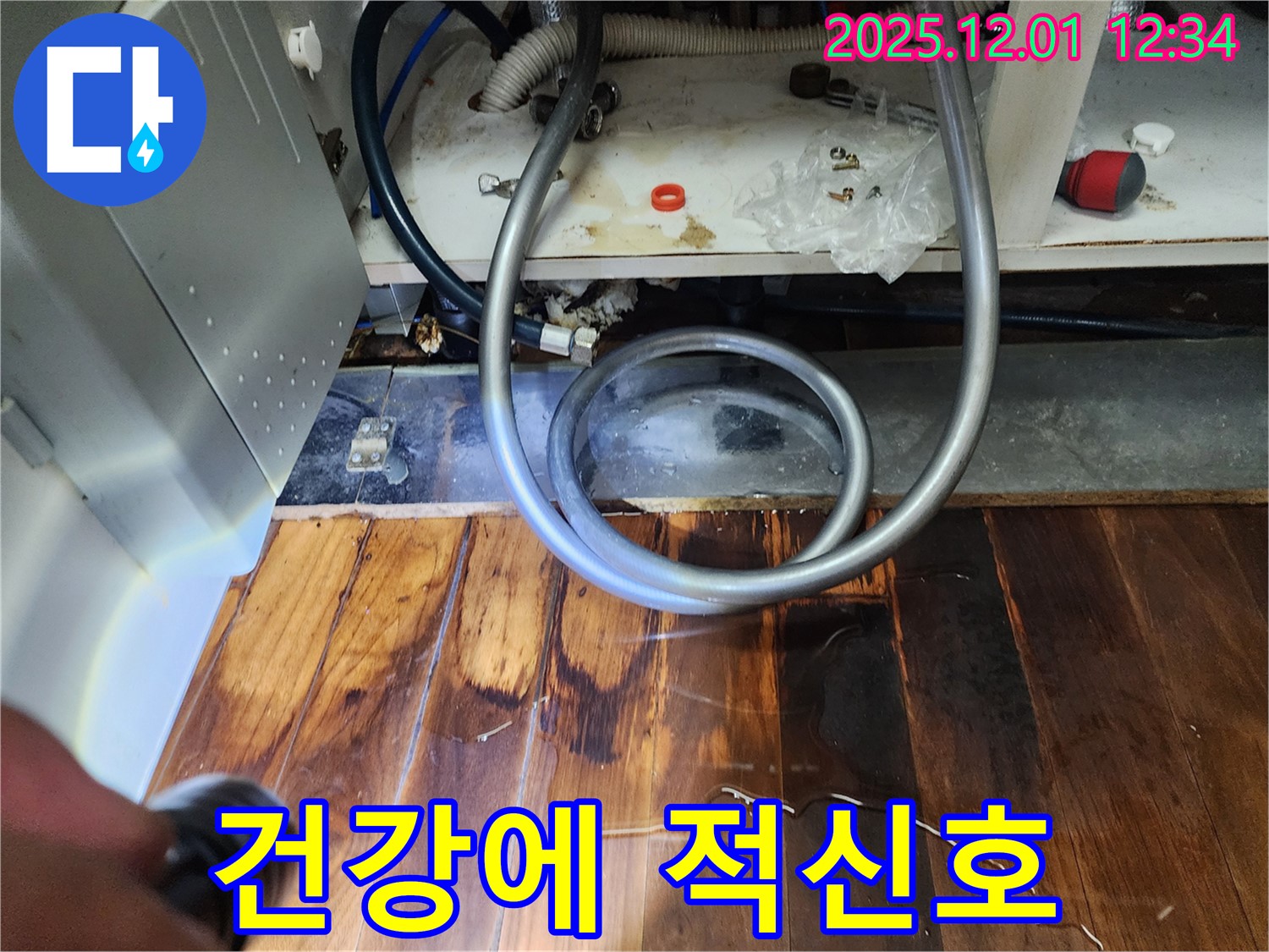 포천 이동면 누수 - 싱크대 하부 곰팡이 꽃, 마루 건강에 적신호 켜짐