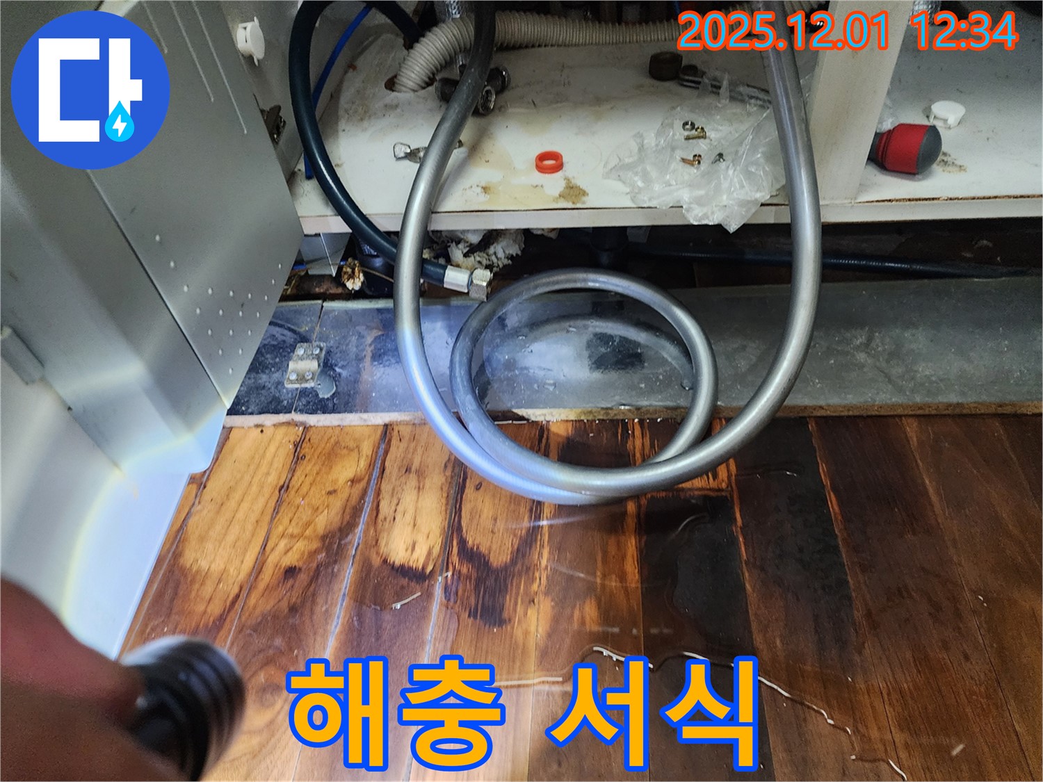 포천 이동면 누수 - 싱크대 하부 물 떨어짐, 마루 썩음 및 해충 서식 가능성