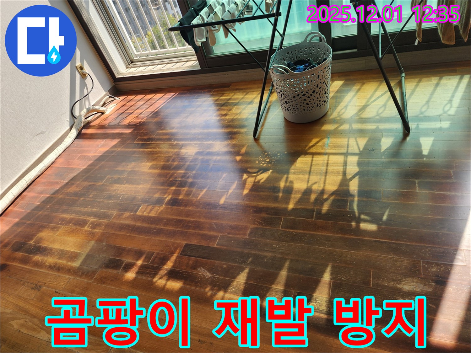 포천 이동면 도평리 주택 - 누수로 인한 마루 곰팡이, 누수탐지 전문가가 재발 방지 시공으로 곰팡이 걱정 없이 만들어 드립니다.