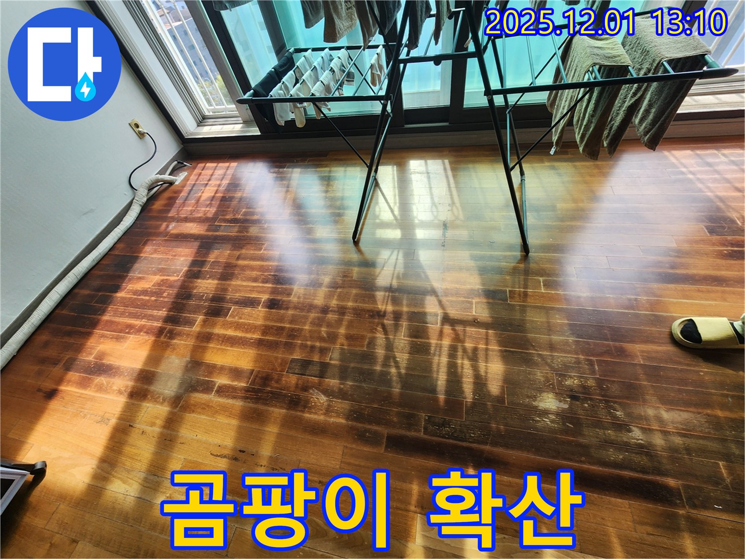 포천 이동면 마루 누수 - 곰팡이 확산, 습기 문제 심각성 진단 및 해결