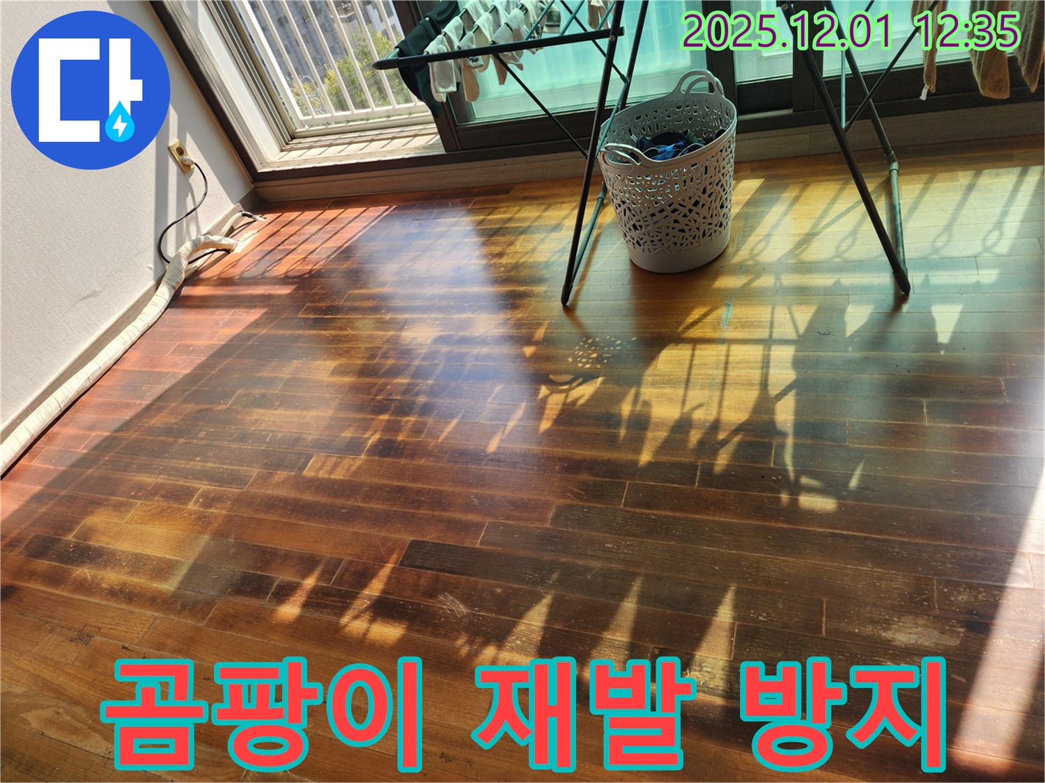 포천시 이동면 도평리 주택 - 누수로 인한 마루 곰팡이, 누수 전문가가 재발 방지 시공으로 곰팡이 걱정 없이 만들어 드립니다.