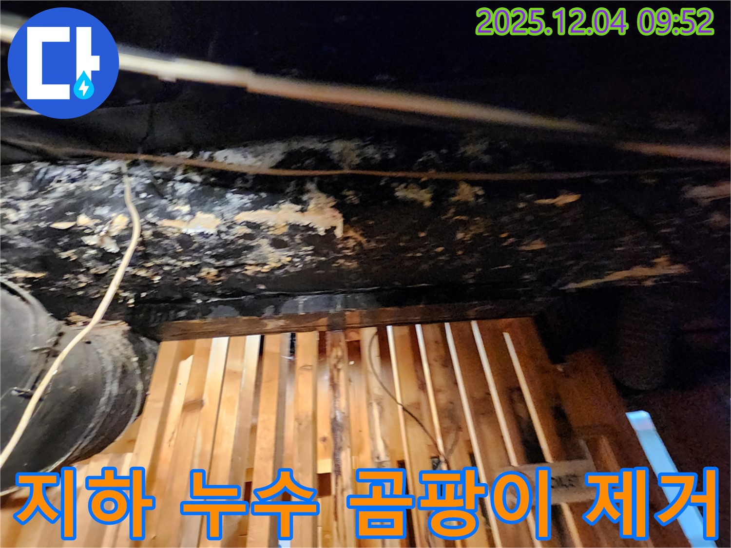 마조로 건물 지하 누수 - 곰팡이 완벽 제거! 쾌적한 공간으로 변신 완료